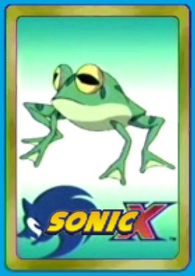 Фрогги в Sonic X