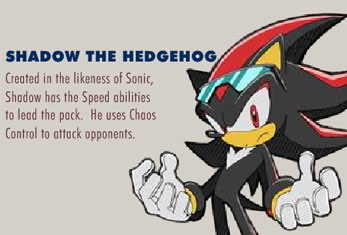 Шэд в Sonic Riders.